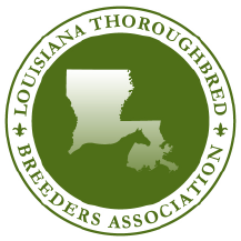 Tech trio win scholarships from LTBA