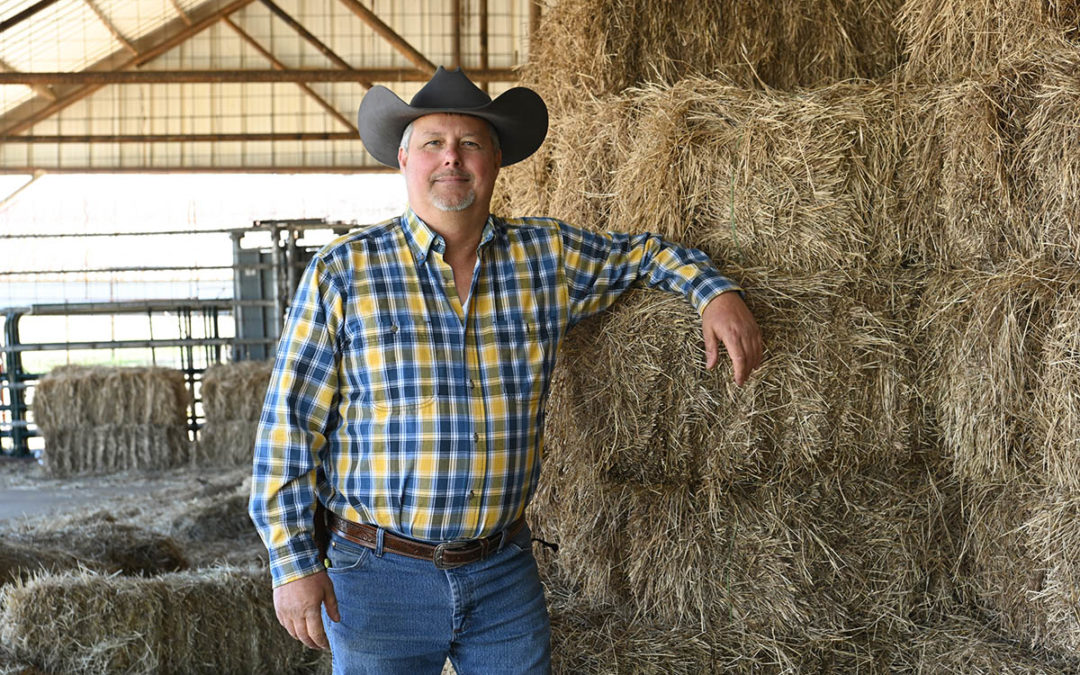 Russell earns Distinguished Service Ag award