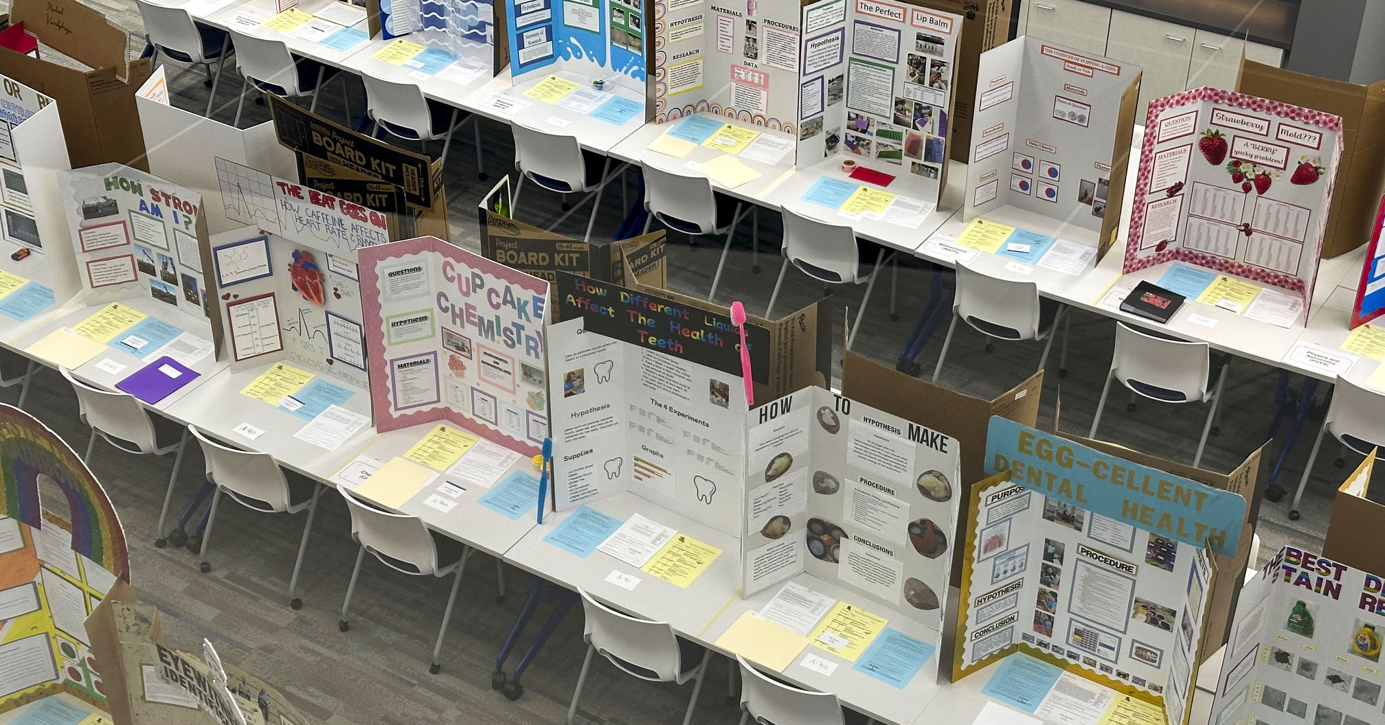 LTRI Science Fair
